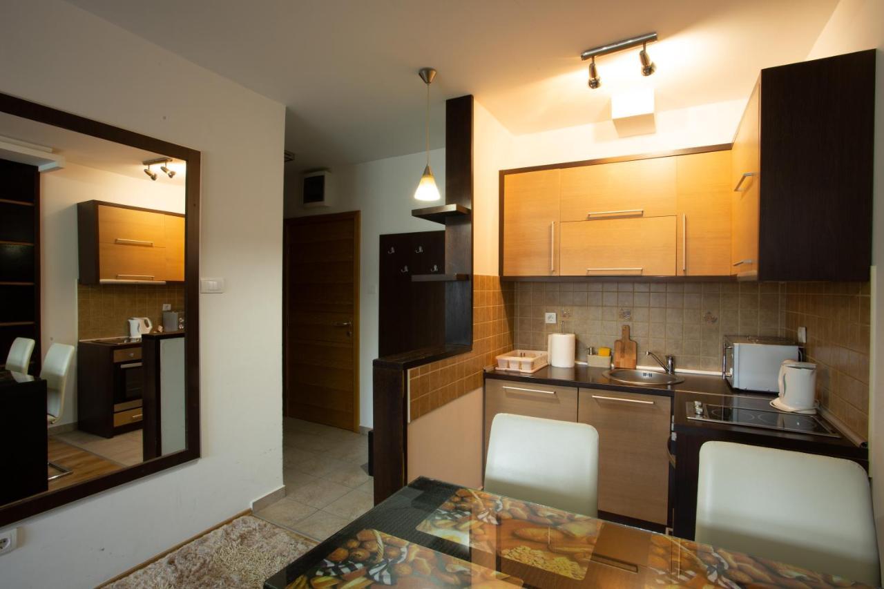 Apartment 204 Kopaonik Kültér fotó